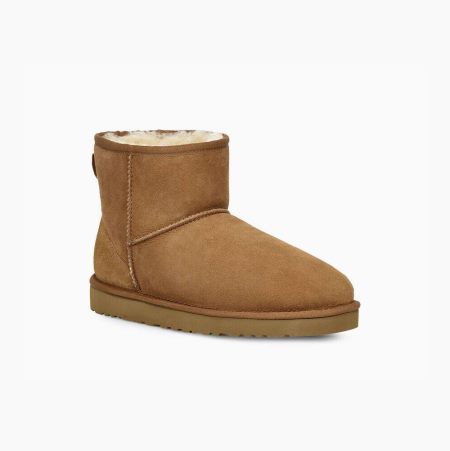 UGG Classic Mini - Boots Herre - Brune (NO-X396)